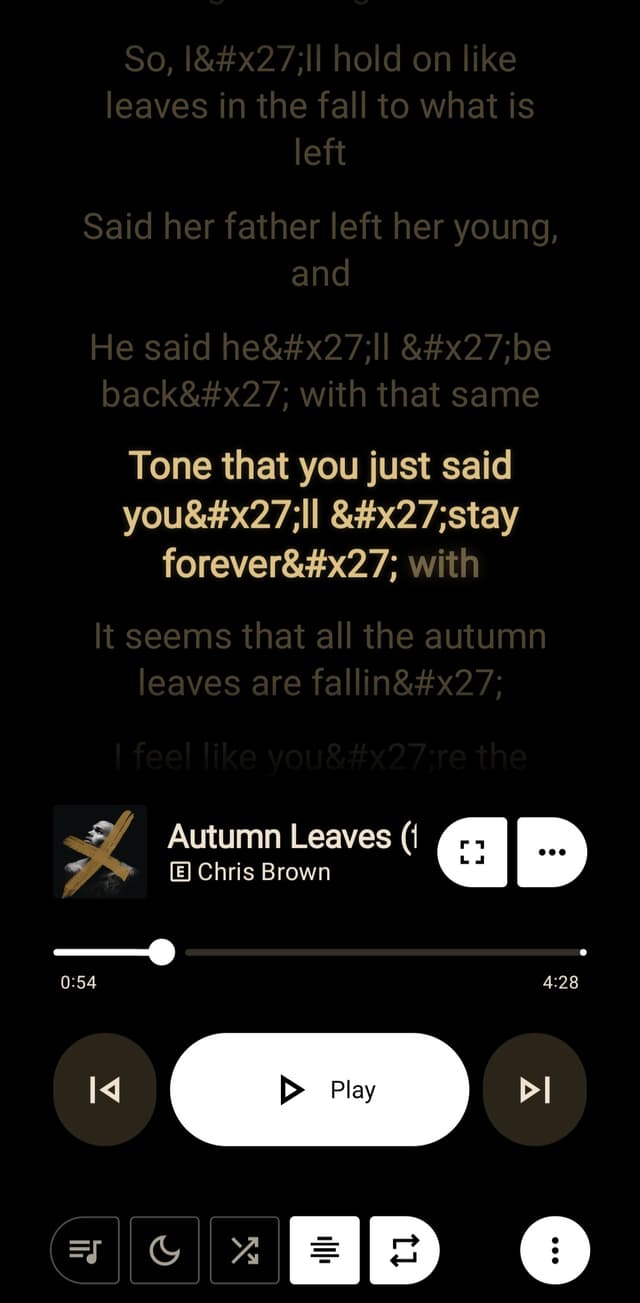 Synced lyrics display